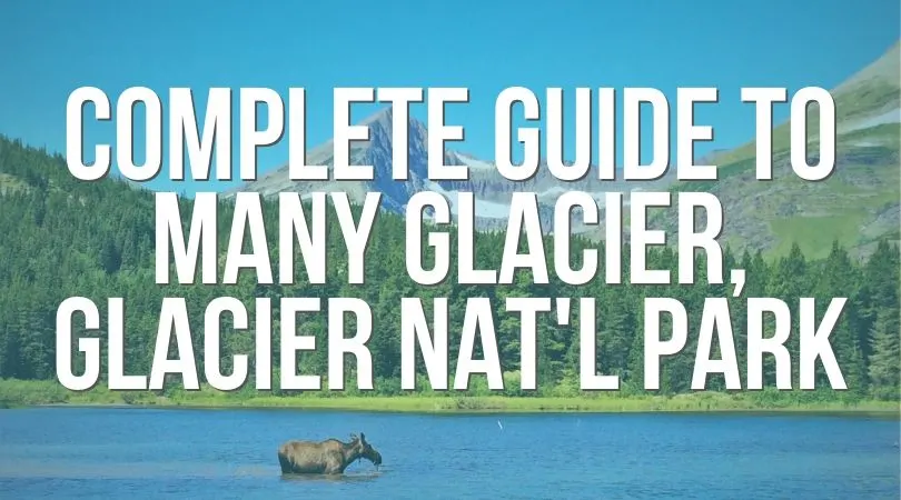 The Many Glacier area on the east side of Glacier National Park is one of the best hiking and wildlife destinations in the whole park. Camping, National Park Lodges and boat tours add to this beautiful area. See what you can't miss and how to relax in Glacier NPS, Montana.