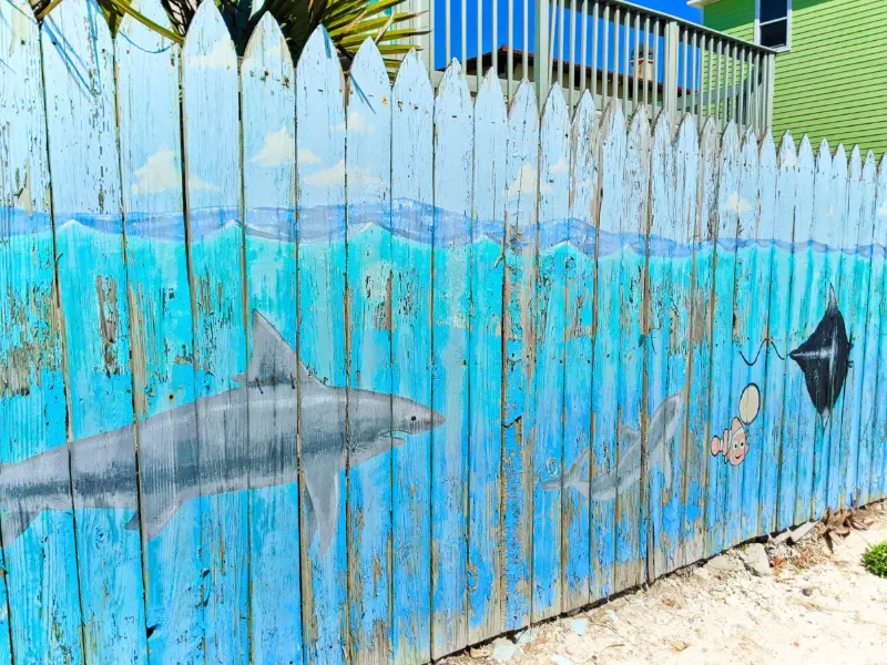 Marine Life Fence Mural at Butler Park East Butler Beach Florida 1