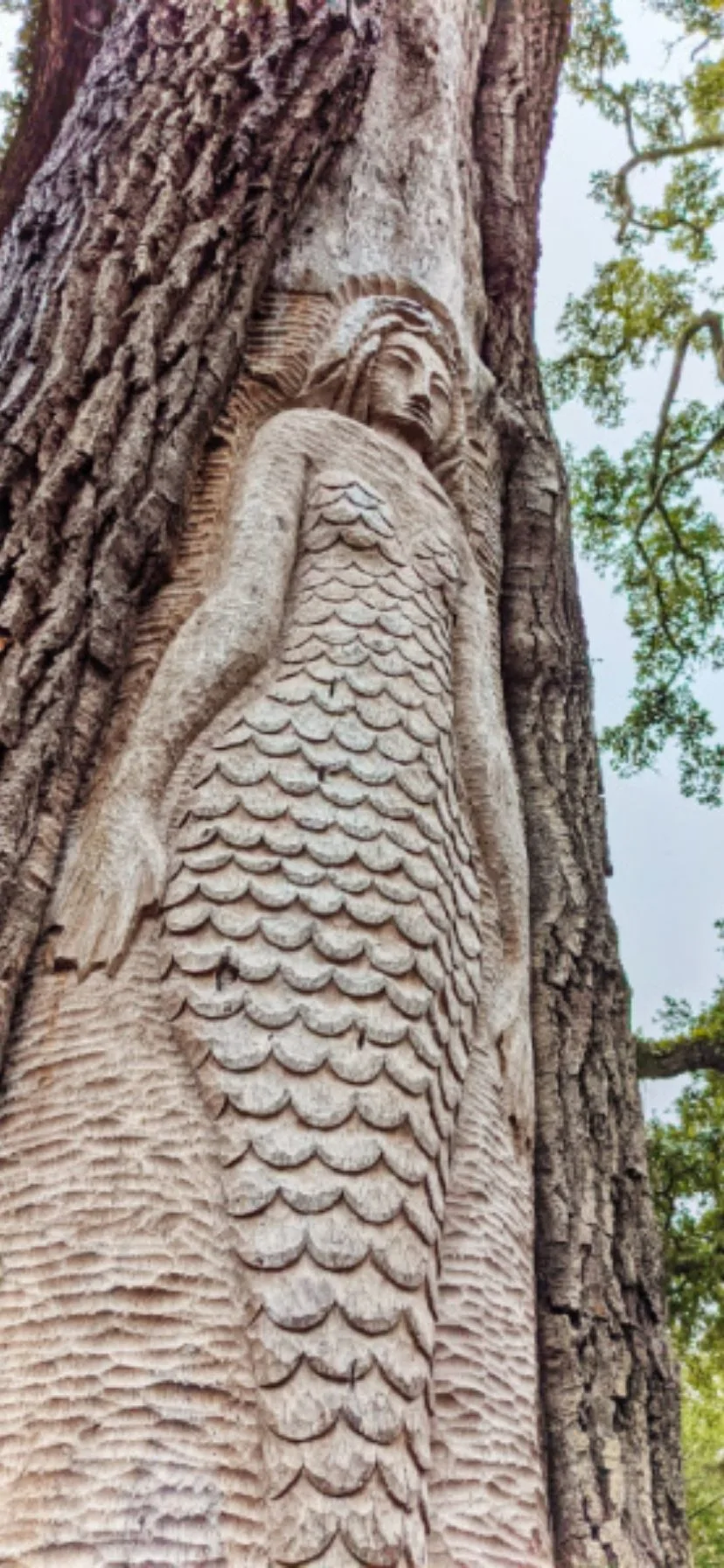 Mermaid Carved Spirit Tree St Simons Island