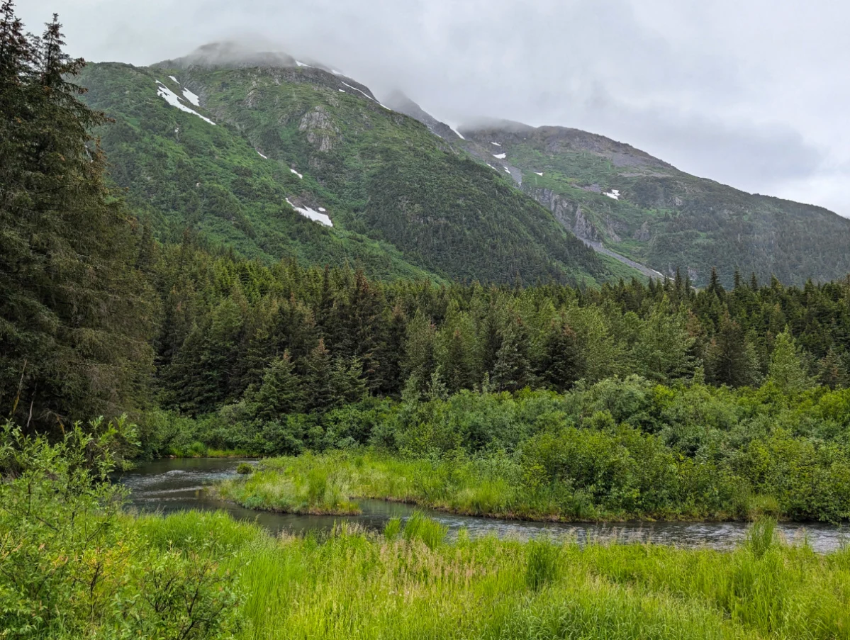 Misty Mountains on Trail of Blue Ice Portage Valley Girdwood Alaska 1