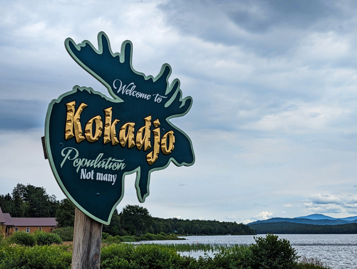 Moose Sign in Kokadjo Highlands Maine 1
