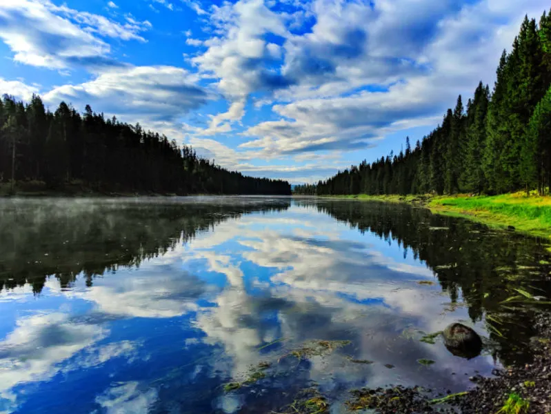 Morning Reflections on Yellowstone River Yellowstone NP Wyoming 1