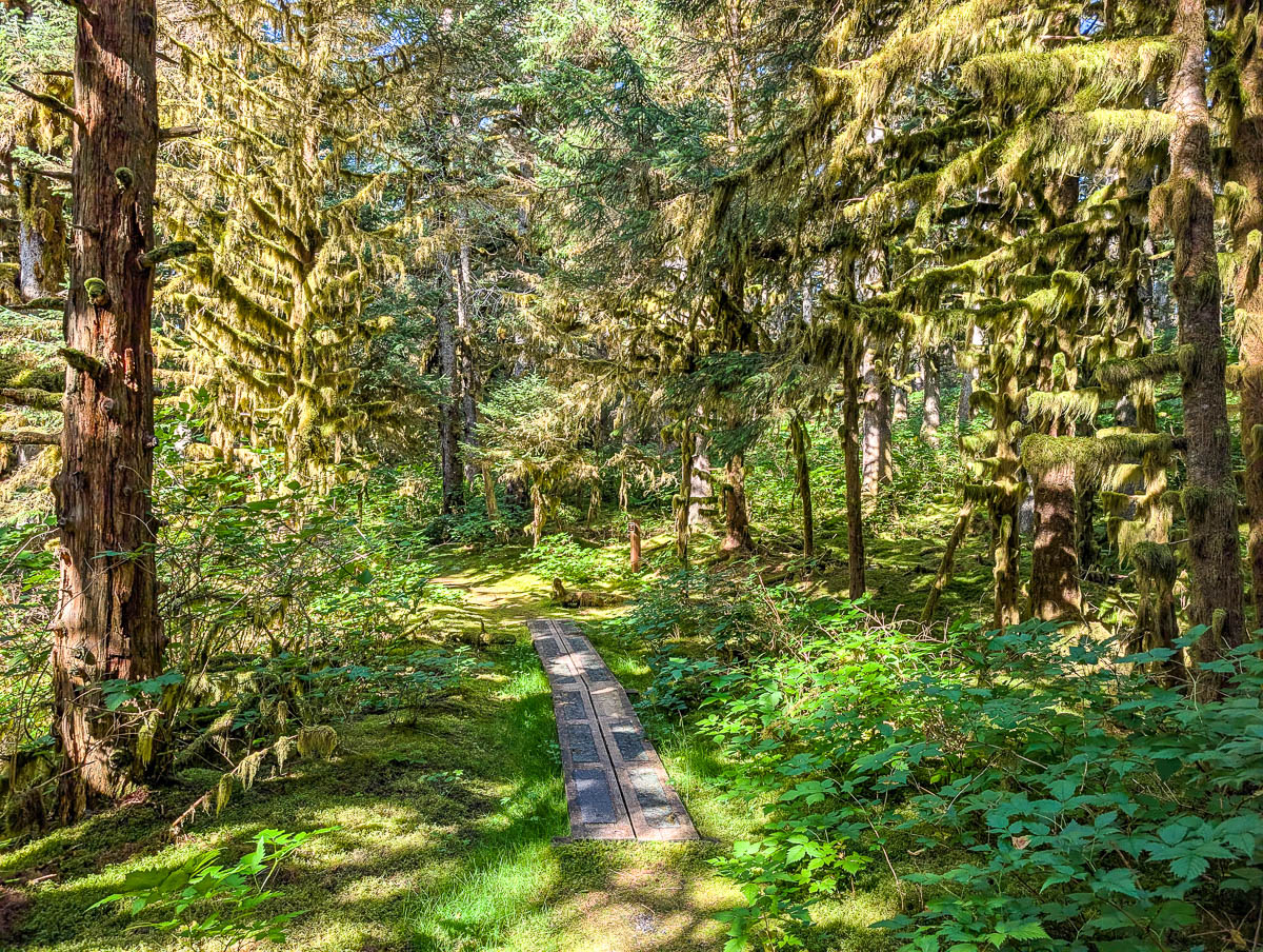 Moss Trail at Fort Abercrombie State Park Kodiak Alaska 6