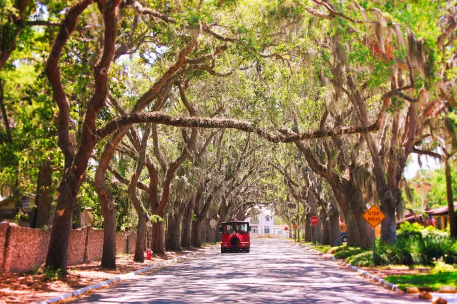 Most Beautiful Street in America Magnolia Street St Augustine 2