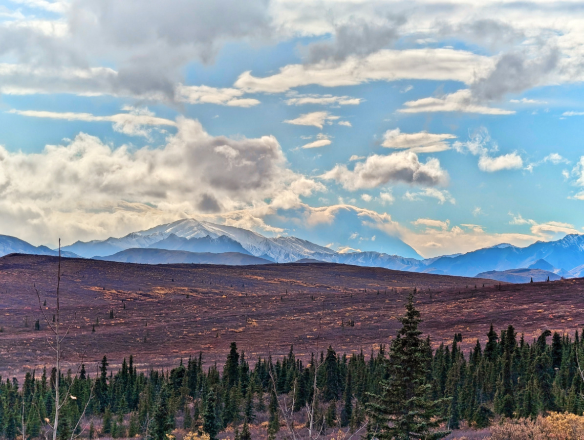 Mount Denali through clouds with Fall Colors in Denali National Park Alaska 2