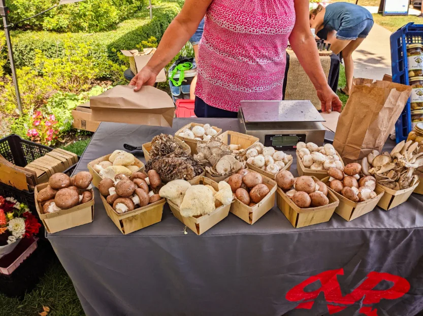 Mushroom Farmer at Farmers Market Downtown Lake Geneva Wisconsin 1