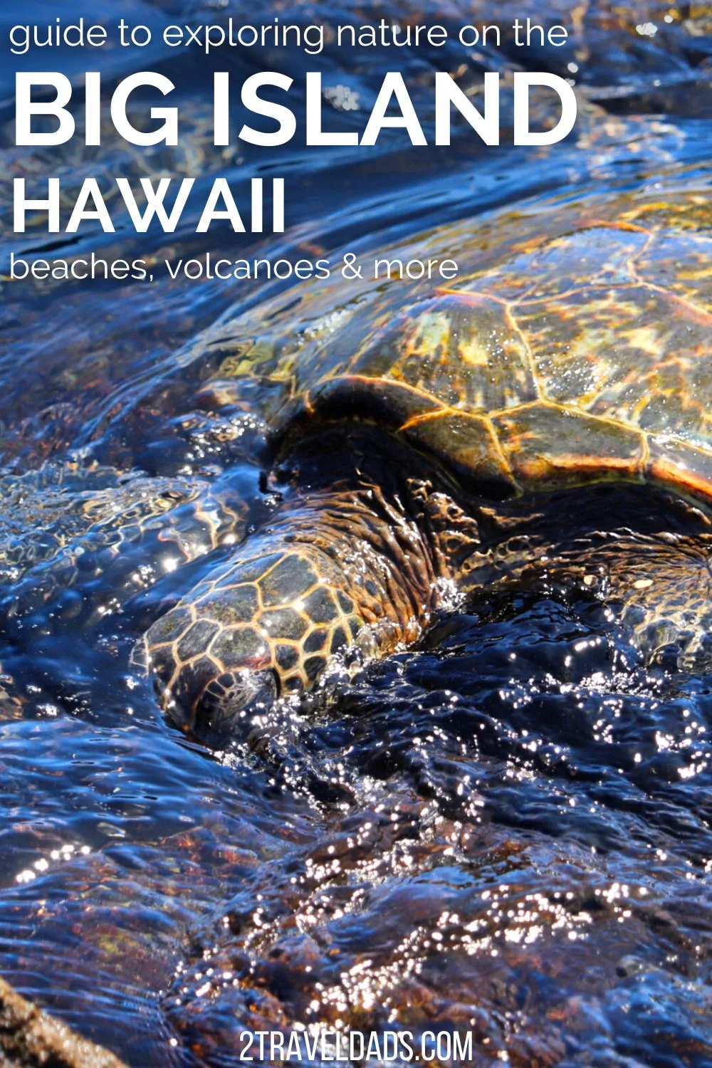 The Big Island of Hawaii has so much nature and unique things to do, it's the perfect Hawaiian experience. From volcanoes to snorkeling or just watching sea turtles on the beach, these are the sights and activities not to miss from Kona to Hilo.