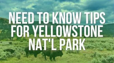 Podcast episode covering the best need-to-know Yellowstone National Park tips. From where to camp to where to stay outside of the park, favorite sights and things to watch for, the basics of having an awesome trip, and some of our favorite stories through the years. #Yellowstone #NationalPark #Wyoming