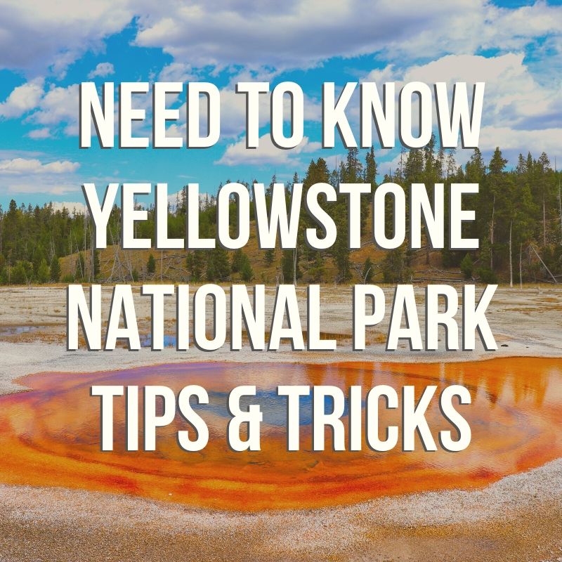 Podcast episode covering the best need-to-know Yellowstone National Park tips. From where to camp to where to stay outside of the park, favorite sights and things to watch for, the basics of having an awesome trip, and some of our favorite stories through the years. #Yellowstone #NationalPark #Wyoming