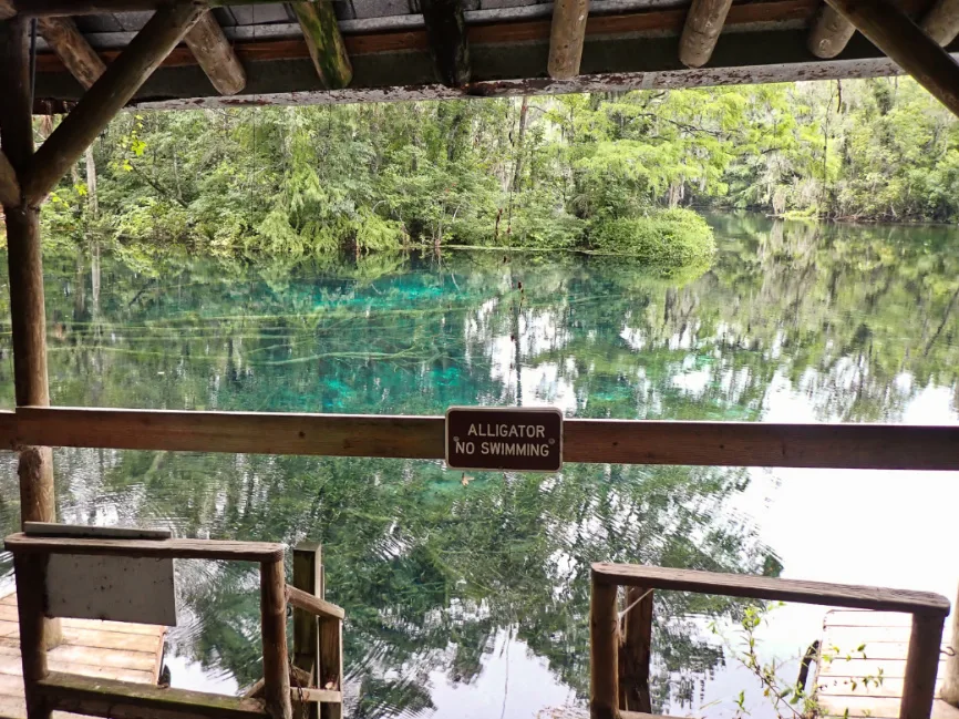 No Swimming SIgn at Silver Spring State Park Ocala Florida 2