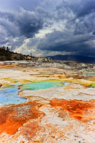 Nymph Spring Mammoth Hot Springs Yellowstone National Park Wyoming 1