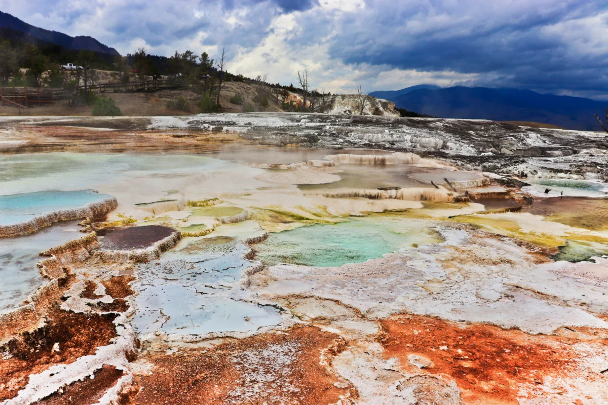 Nymph Spring Mammoth Hot Springs Yellowstone National Park Wyoming 2