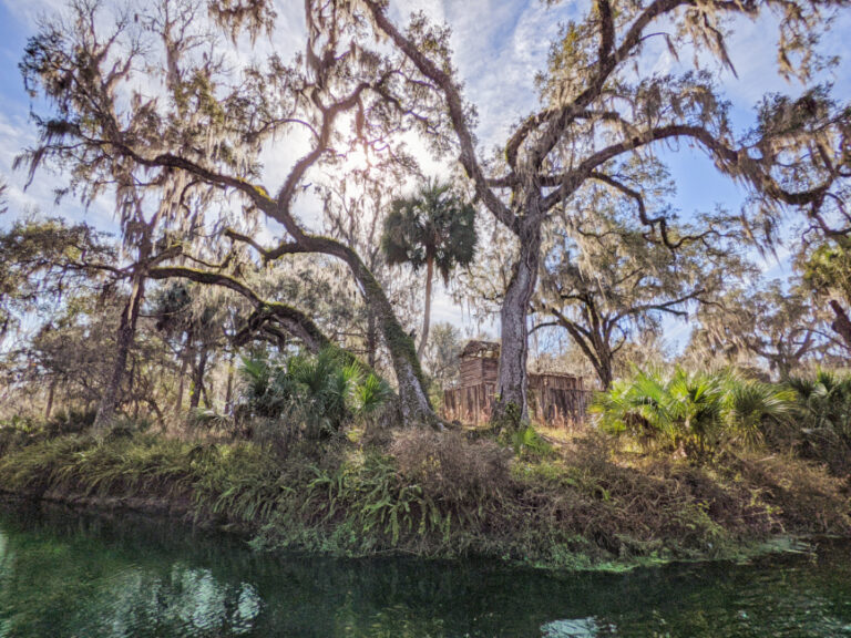 silver-springs-state-park-from-kayaking-with-monkeys-to-glass-bottom