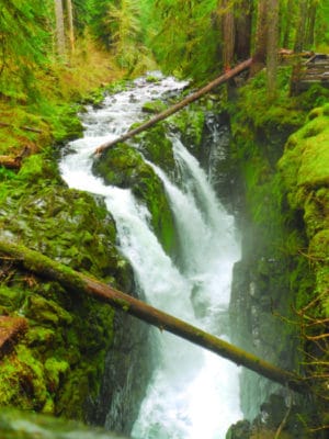 Olympic National Park - Sol Duc Falls - Ordinary Adventures 1