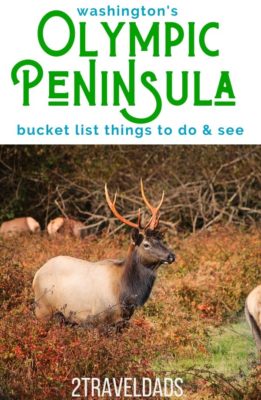 Remarkable things to do on the Olympic Peninsula, a bucket list of of the best activities and sights in Western Washington, including sites in Olympic National Park and Victorian towns.