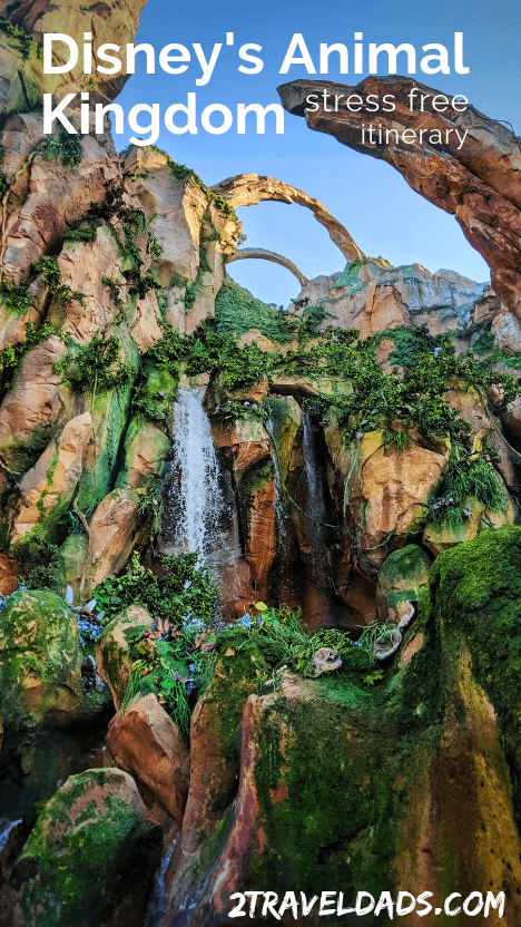 Disney's Animal Kingdom itinerary: one day plan and tips for dining, best safari times, guide to Pandora and which shows are best to save time and cool off. #Disney #disneyworld #animalkingdom #travel #itinerary