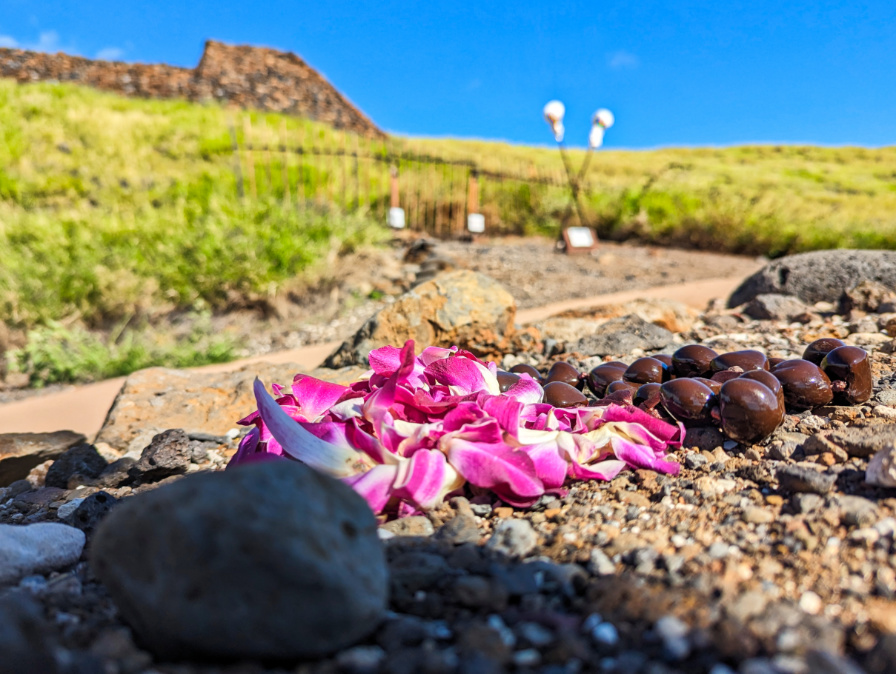 Orchid Lei and Kukui Nuts at Puukohola Heiau National Historic Site Northern Kona Coast Big Island Hawaii 1