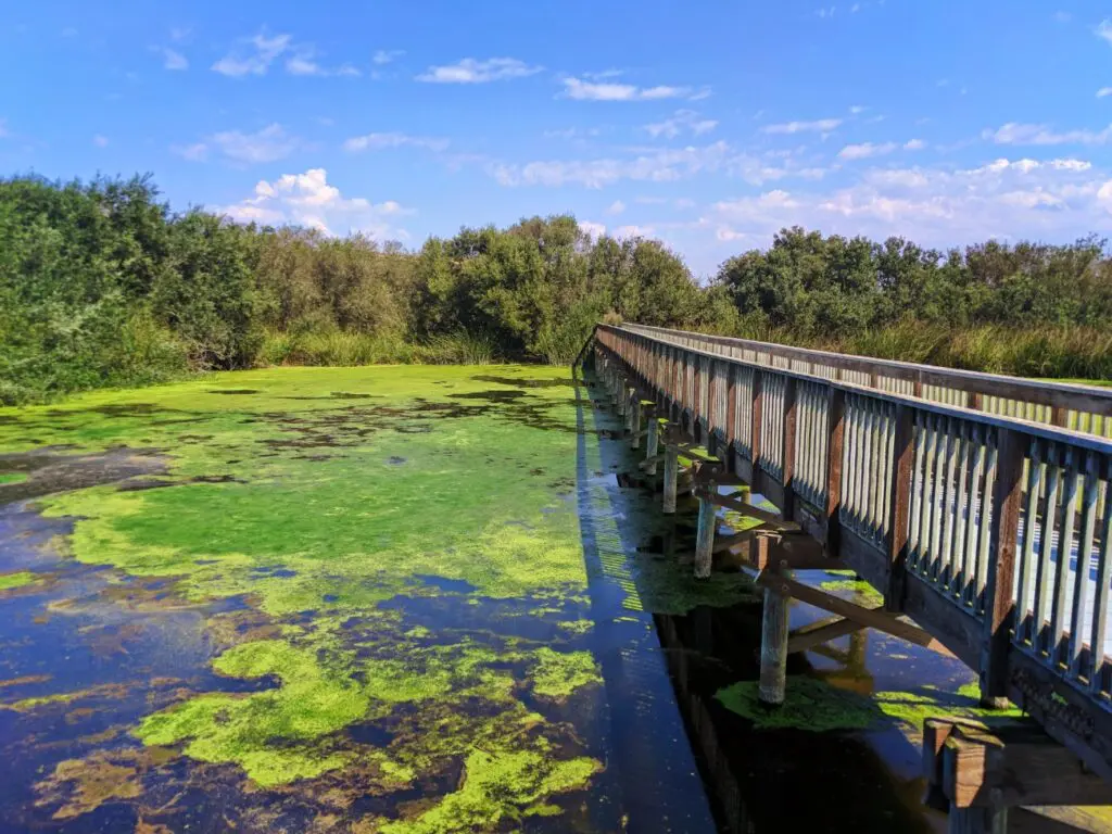 Oso Flaco Lake Nature Preserve Nipomo 2