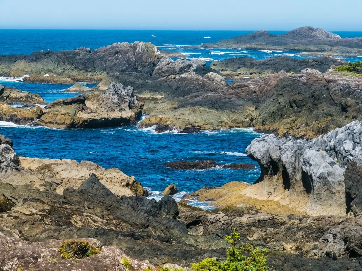 Pacific Rim National Park Tofino Ucluelet Vancouver Island British Columbia