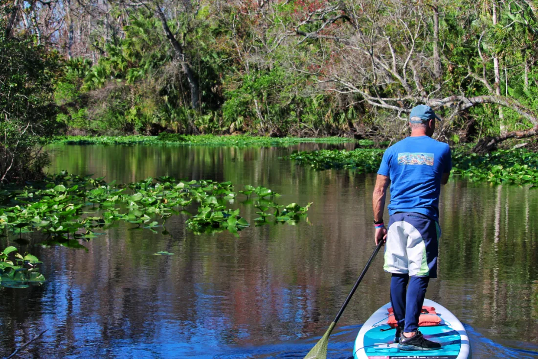 Paddleboarding Wekiva River Central Florida with Paddleboard Orlando 9