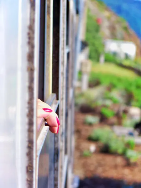 Painted nails out train window on Tren Italia in Pisa Italy 1