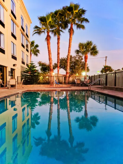 Palm Trees and Swimming Pool at BW Plus St Augustine I 95 1