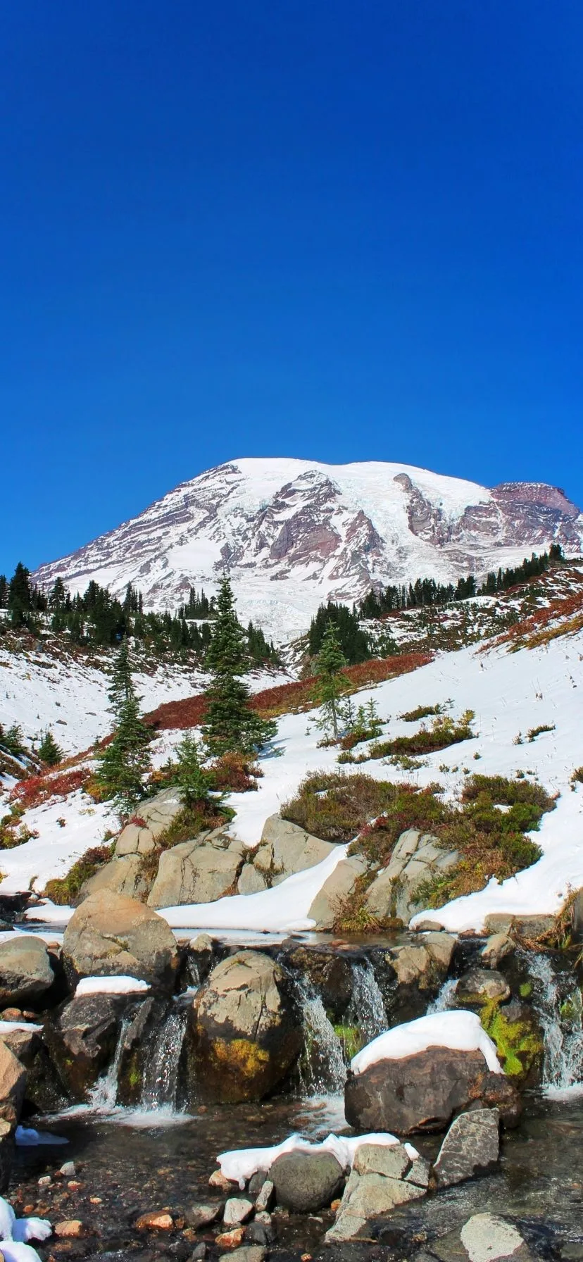 Paradise Hiking Day Hikes at Mount Rainier National Park