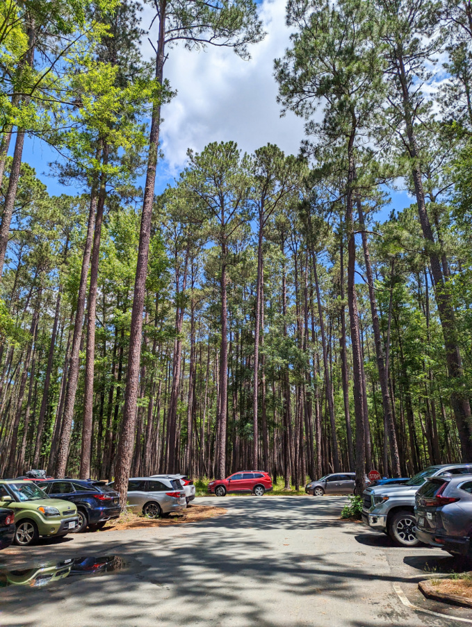 Parking Area in Congaree National Park South Carolina 1