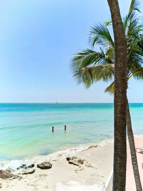 People Swimming at Beach at Coconut Beach Resort Key West Florida Keys 1
