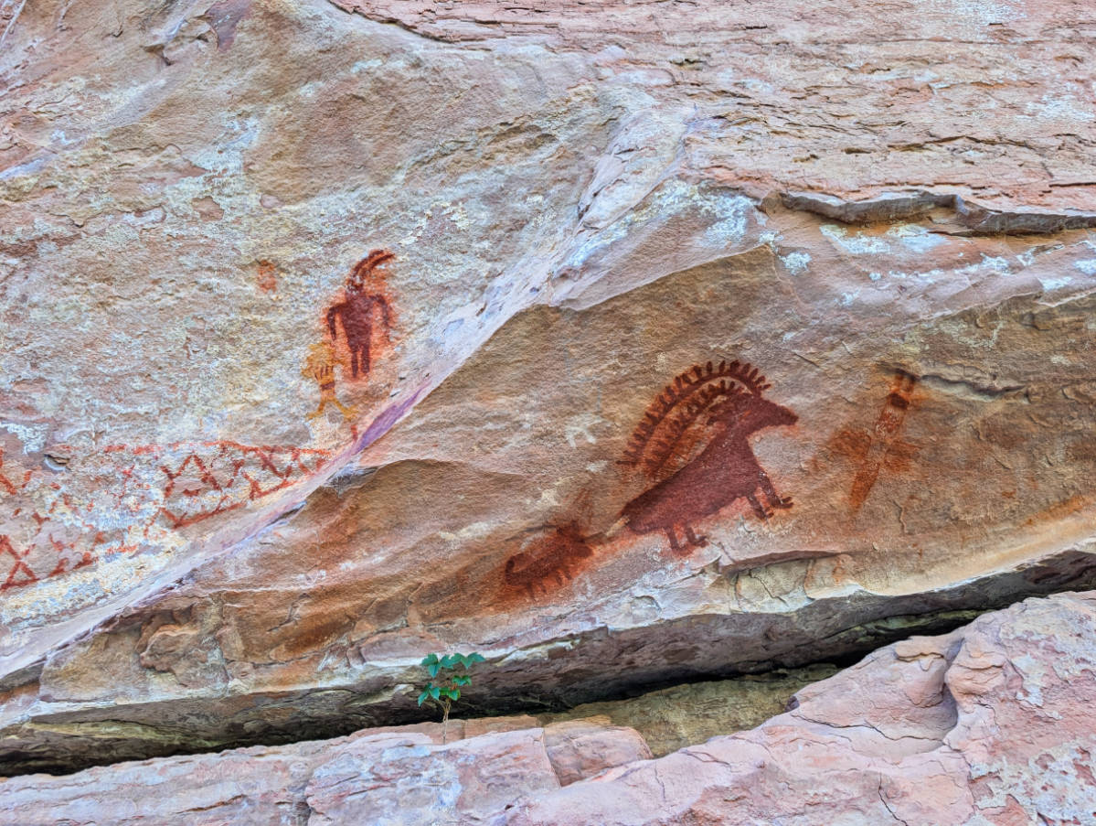 Pictographs on hike with OARS Rafting in Gates of Lodore Dinosaur National Monument Utah 1