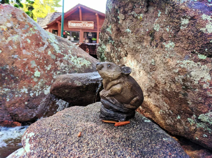 Pikas in the Park scavenger hunt Downtown Estes Park Colorado 3