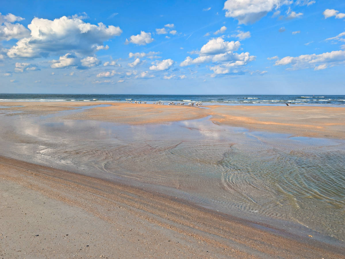 Pink Orange Sand Beach at Anastasia State Park St Augustine Florida 1