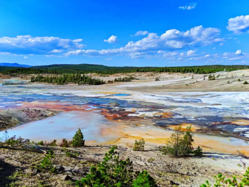 Porcelain Basin at Norris Geyser Basin Yellowstone NP 2