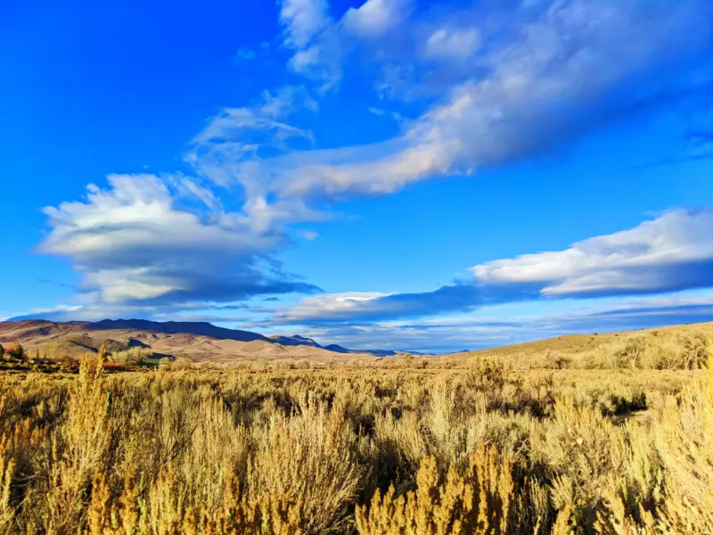 Prairie in Autumn at Riverview Park Carson City Nevada 2020 1