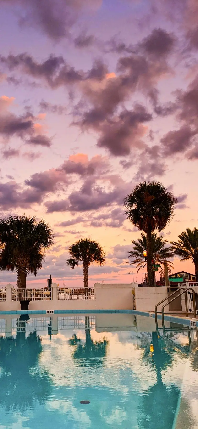 Palm Trees on Pool in St Augustine FL 6