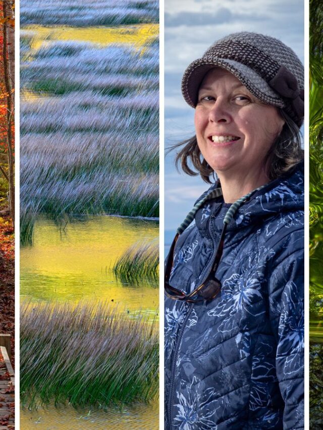 Professional Landscape Photographer Feature