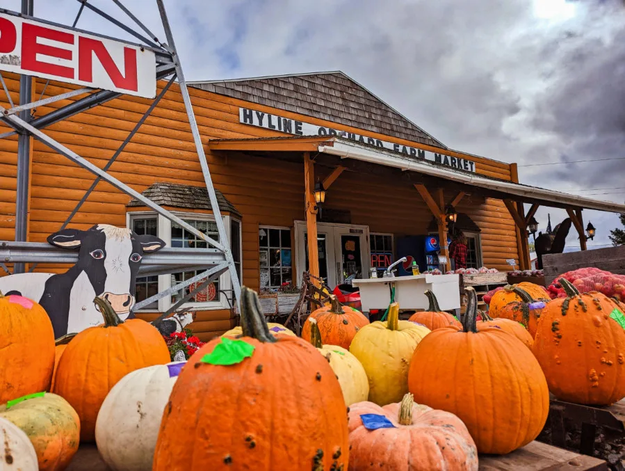 Pumpkins and Exterior of Hyline Orchard Farm Market Door County Wisconsin 1