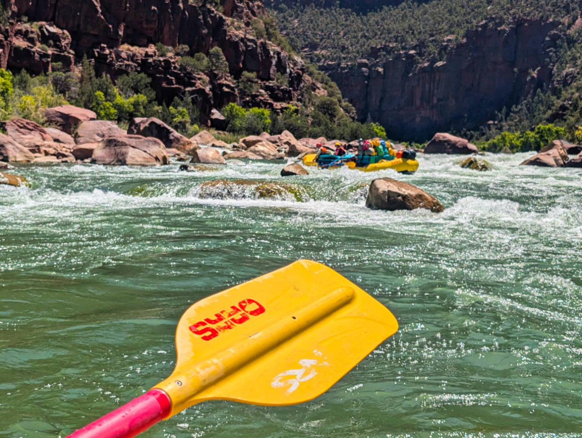 Rafting Hells Half Mile on Green River in Echo Canyon with OARS in Gates of Lodore Dinosaur National Monument Utah 3
