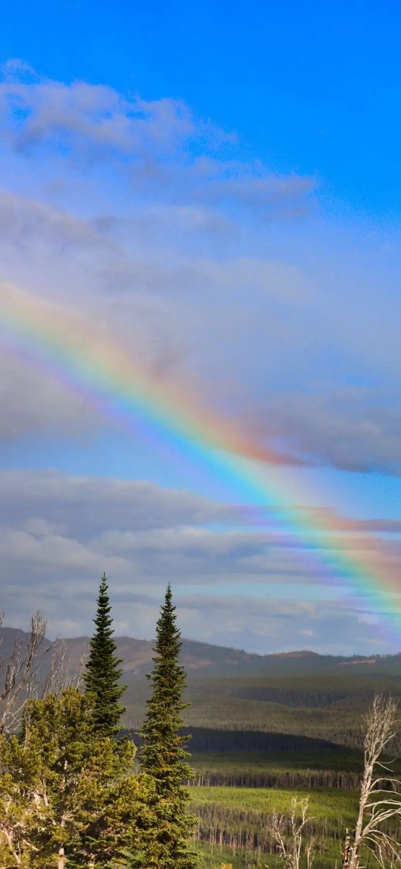 Rainbow at Yellowstone National Park