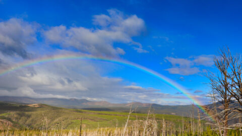Weather in Yellowstone National Park: Being Prepared for ALL Conditions in SUMMER