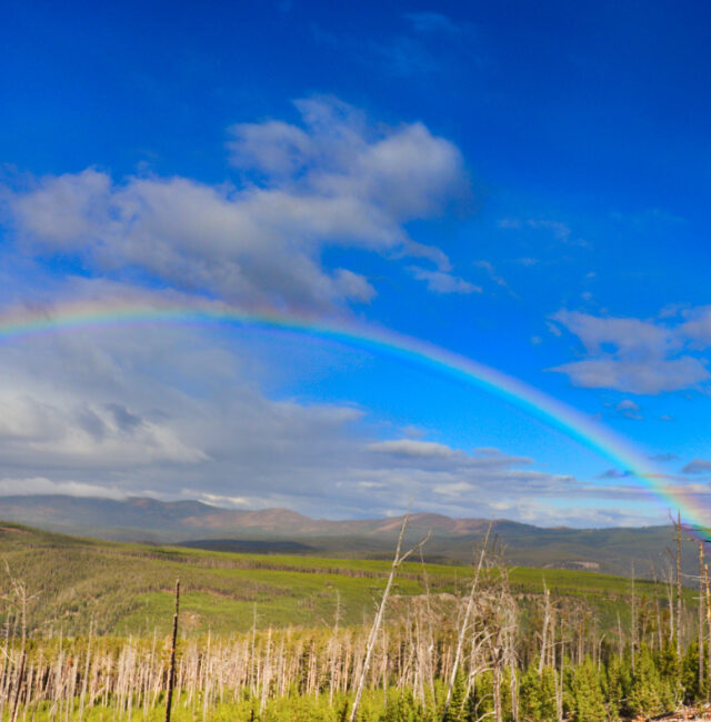 Rainbow from Mt Washburn Yellowstone National Park 5