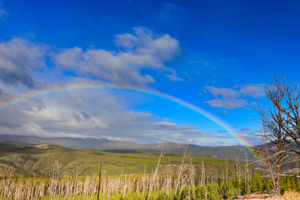 Rainbow from Mt Washburn Yellowstone National Park 5