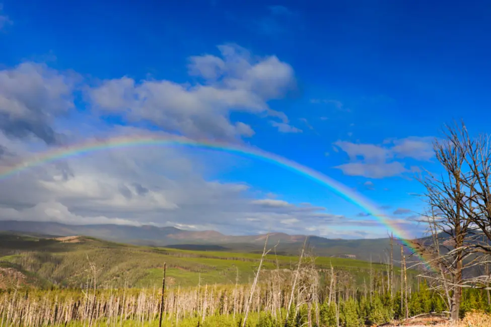 Rainbow from Mt Washburn Yellowstone National Park 5