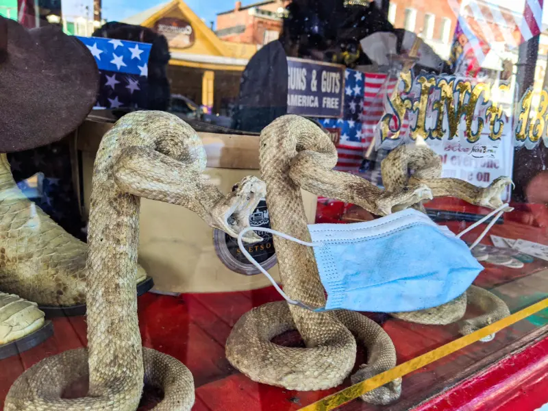 Rattlesnakes and PPE Mask Window Display Virginia City Nevada 2020 2