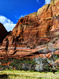 Red Rock walls at Big Bend of Zion Canyon Zion National Park Utah 1