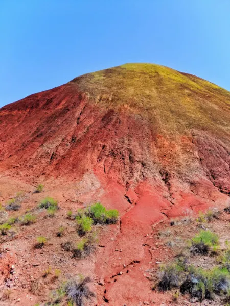 Red Scar Knot at Painted Hills John Day Fossile Beds NM Oregon 1b