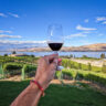 Red Wine Tasting in Vineyard at Nefarious Cellars Lake Chelan Washington 1