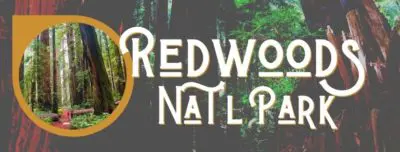 Redwood NPS Header