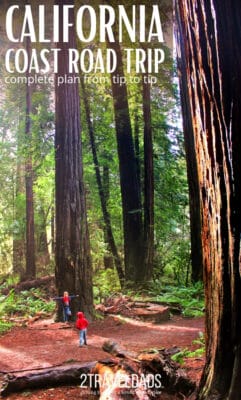 The California Redwoods are one of the most iconic sights to see on a California coast road trip. Hiking through epic trees is the perfect addition to a drive down the coast. #roadtrip #california #redwoods