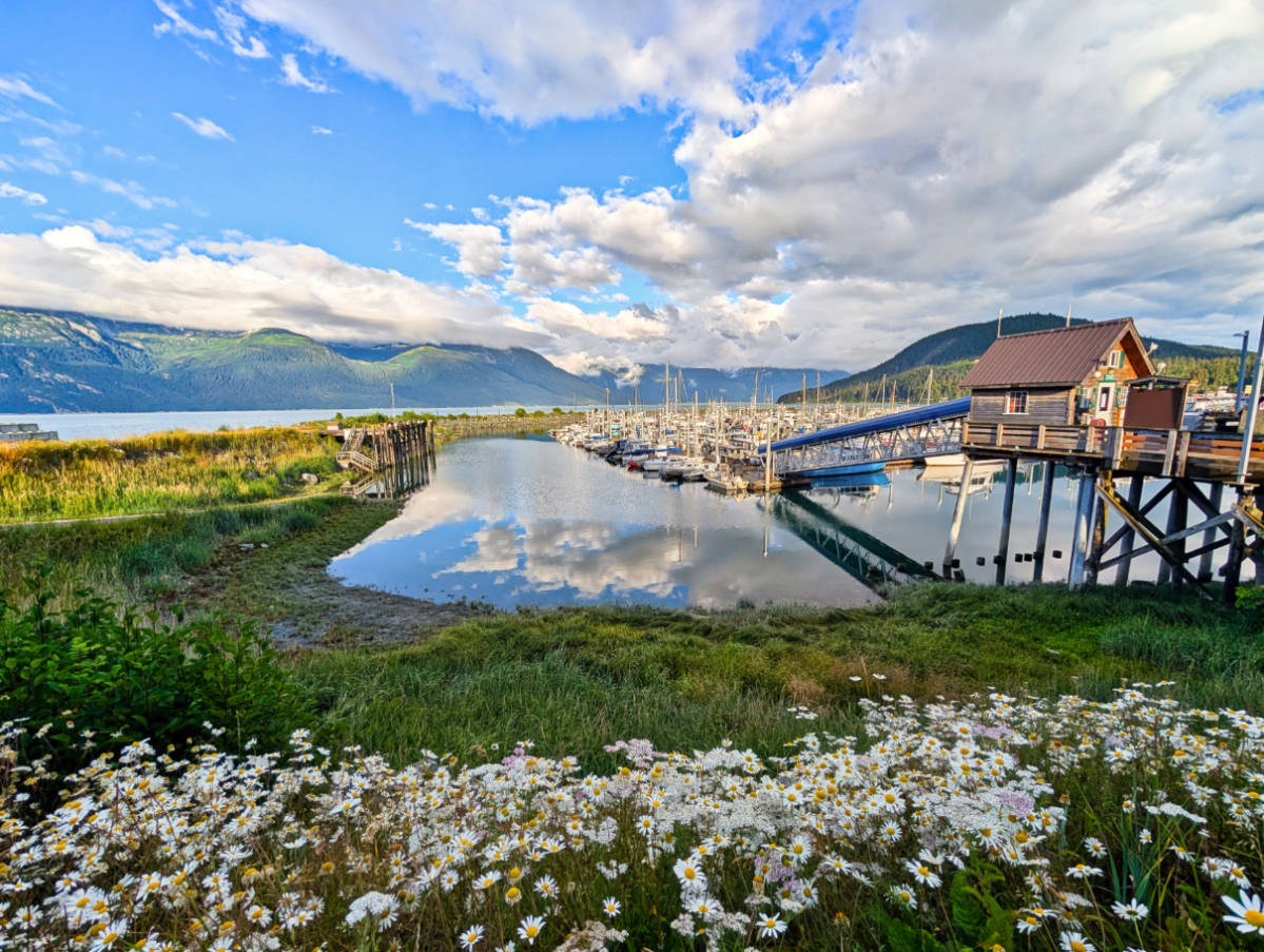Reflections in Small Boat Harbor Haines Alaska 2
